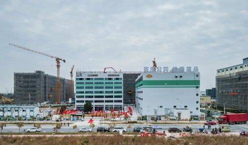 茶里集團南沙總部落成，推動高端袋泡茶標準化、工業(yè)化與科技化進程