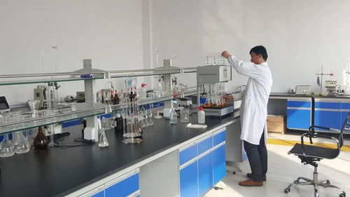 東營港經濟開發區 以企業技術改造為抓手，驅動產業轉型升級與技術開發新突破