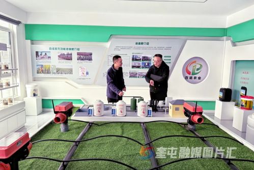 奎屯-獨山子經濟技術開發區 政企銀聯動強鏈補短，技術開發提速園區高質量發展